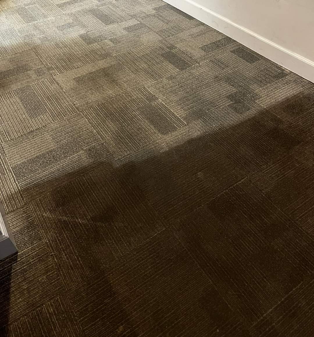 Commercial Carpet Cleaning in Brentwood, CA