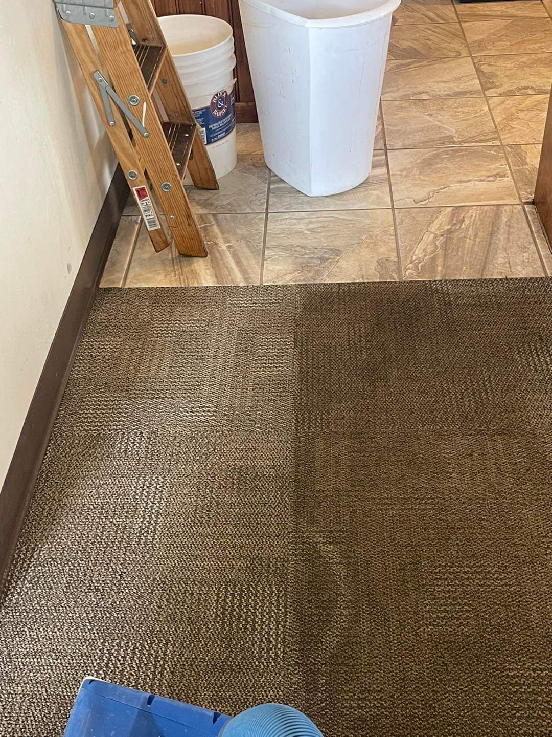 Steam Cleaning vs Low Moisture Carpet Cleaning
