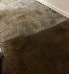 Commercial Glue Down Carpet Cleaning
