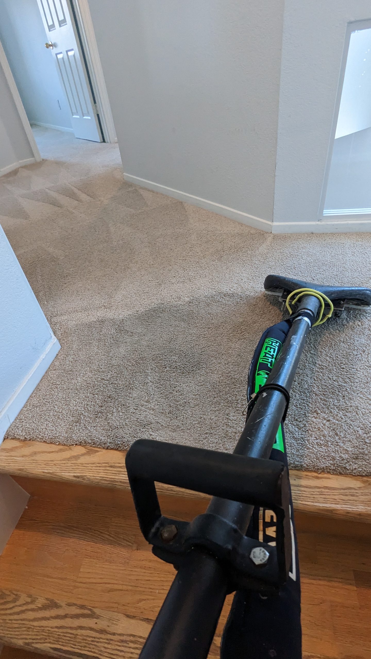 General carpet cleaning services