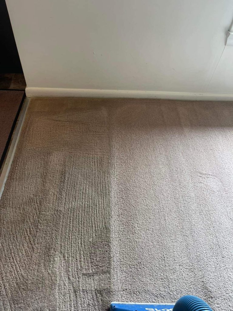 Very Low Moisture Carpet Cleaning Service brentwood ca