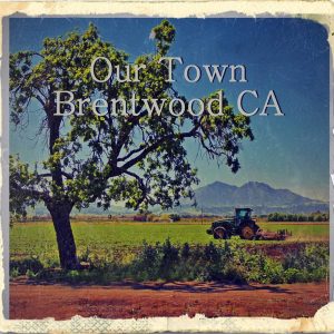brentwood ca carpet cleaning service