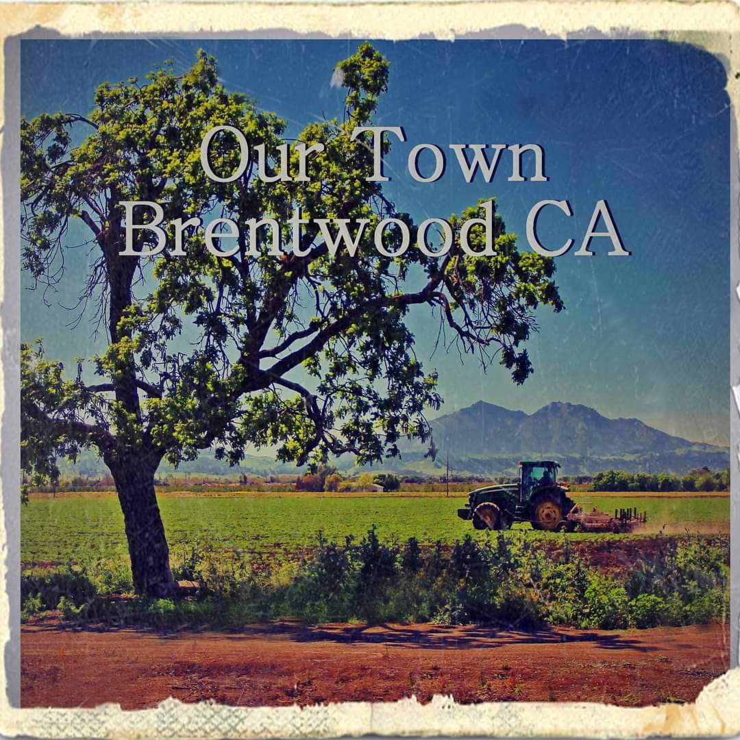 brentwood ca carpet cleaning service