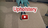 #1 rated upholstery Carpet Cleaning services